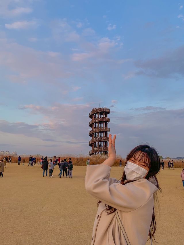 여름이 끝나면, '시흥갯골생태공원'