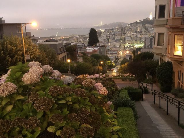 Lombard Street, San Fransisco