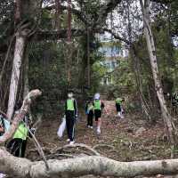到海下灣海岸公園清潔及遊玩
