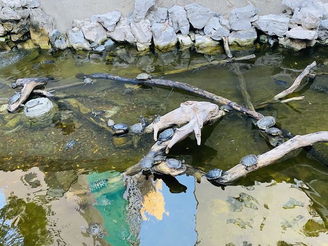 公園尋古蹟大屋@德華公園