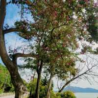 郊外好去處 ~ 大嶼山長沙泳灘 