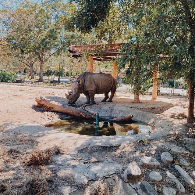 ชลบุรีไม่ได้มีดีแค่ทะเล...