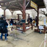 成田ゆめ牧場