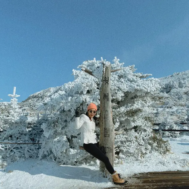 대한민국에서 가장 아름다운 겨울왕국, 제주 윗세오름❄️