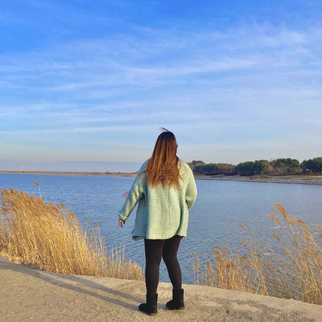 오션뷰&에어포트뷰 감성 호캉스는 이 곳✈️