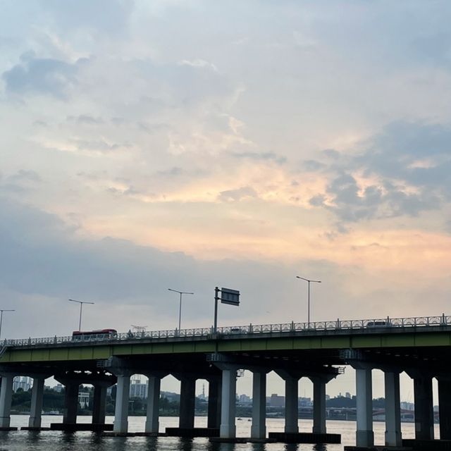 산책하고 자전거 타기 너무 좋은 한강공원💚