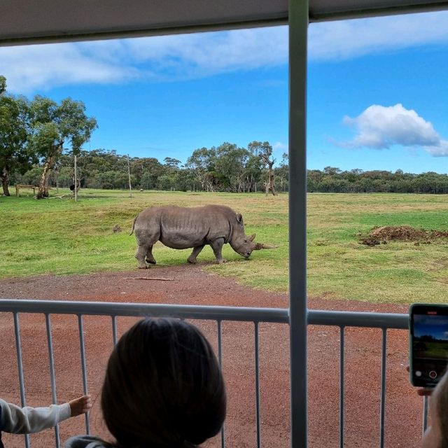 Close Encounters In Werribee