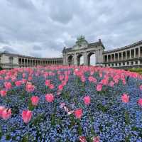 Brussels Belgium