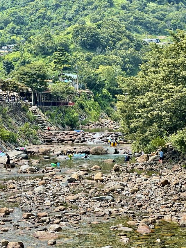 올해 여름 물놀이는 여기서 ! 산청 지리산장당계곡펜션 🤿 