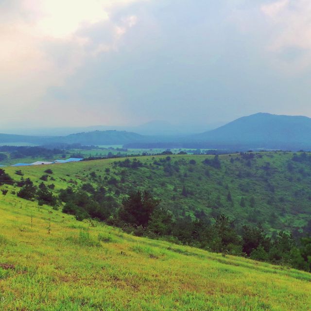 ⛰️ 시원한 여름오름! 오르는건 금방~ 전망은 최고, 아부오름
