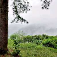 กางเตนท์อุทยานแห่งชาติตากสินมหาราช