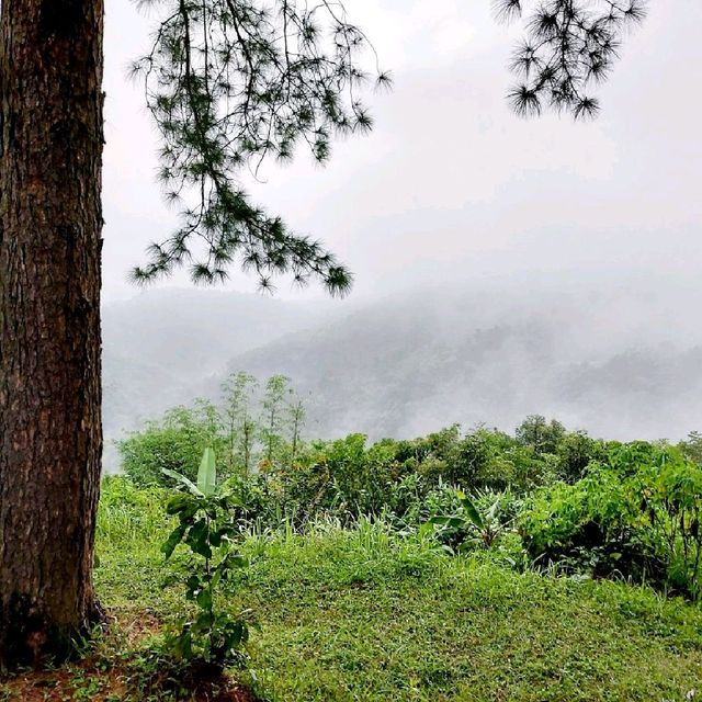 กางเตนท์อุทยานแห่งชาติตากสินมหาราช