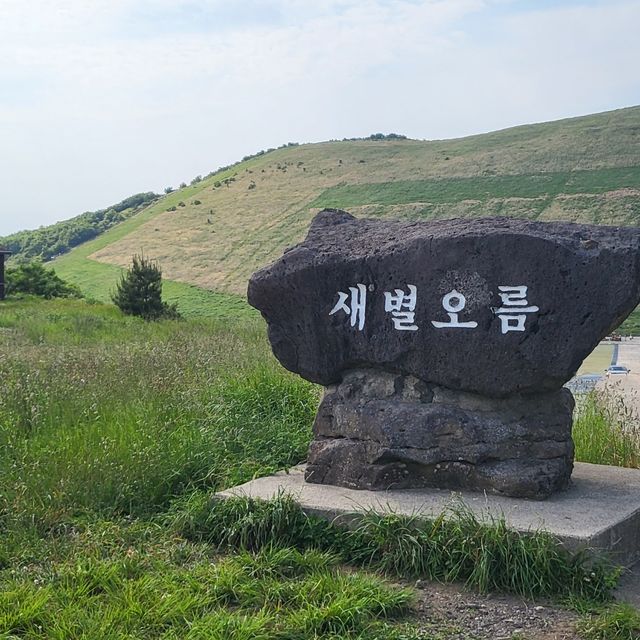 새별오름 : 제주를 만끽하는 카페 새빌🌾