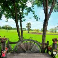 พาไปคาเฟ่กลางทุ่งนา ณ ลพบุรี