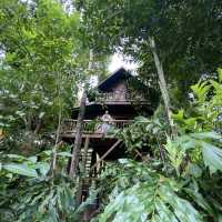 Our Jungle Camp - Eco Resort 🍃