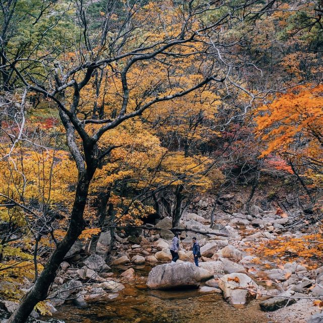 A hike to admire the fall foliage in the ⛰