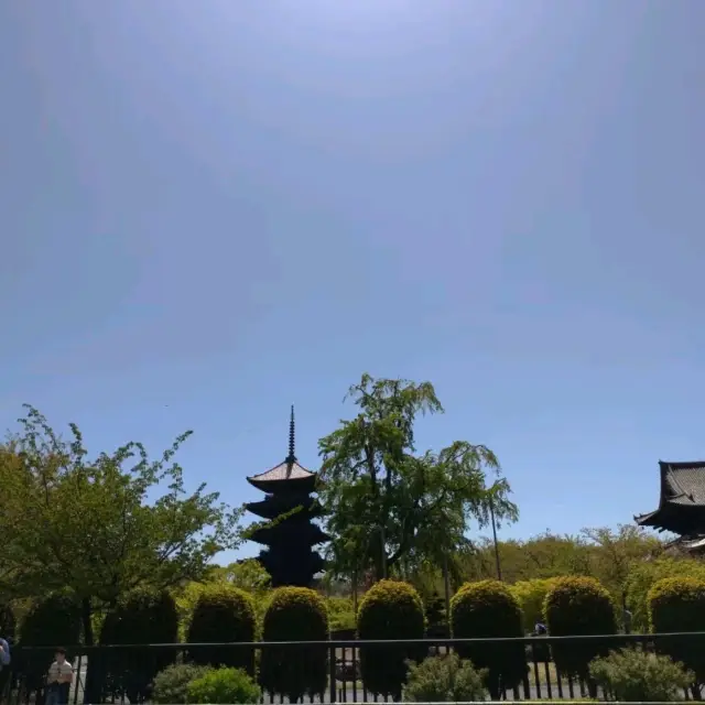 京都東寺