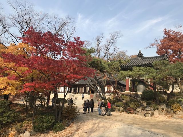 シャッターを押せば全てが美しく写る吉祥寺