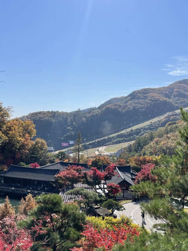 11월 여행지 추천:: 곤지암 화담숲🍁