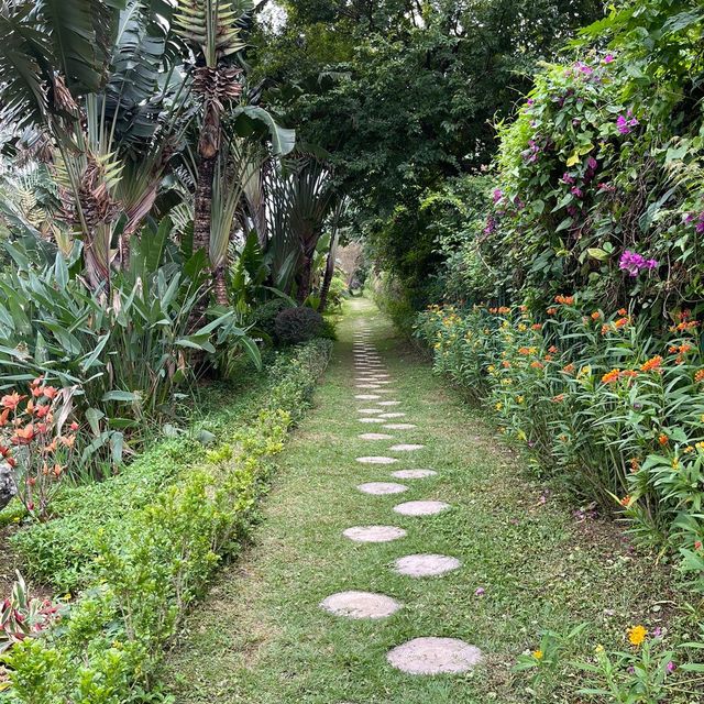 Macau Wetland of Beach Avenue,Taipa