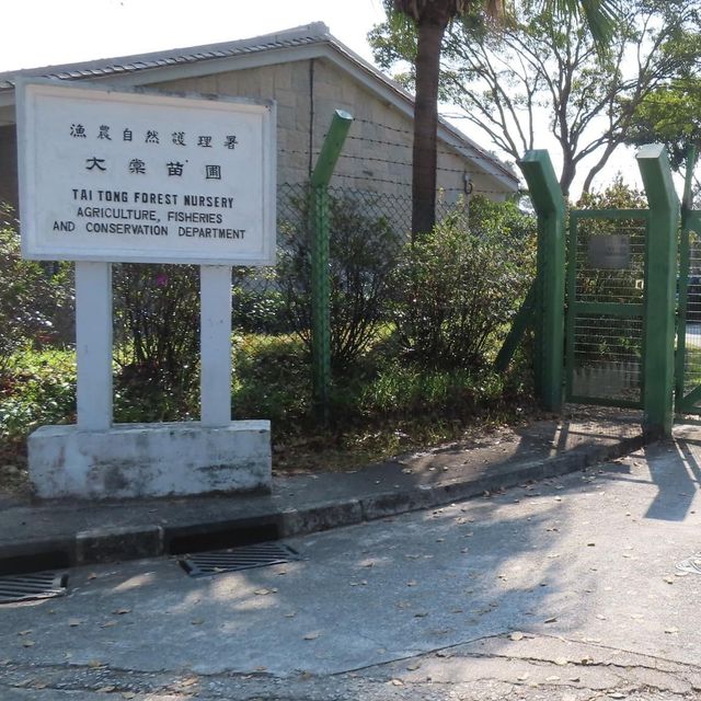 大棠自然教育徑 大棠自然教育徑