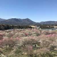 三重県　いなべ市農業公園