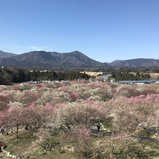 三重県　いなべ市農業公園