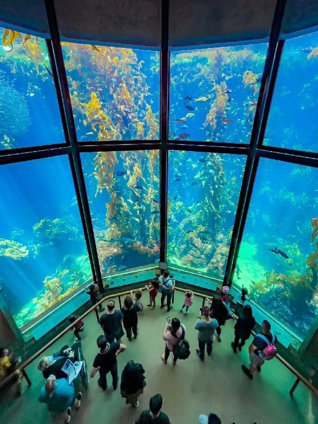 Monterey Bay Aquarium