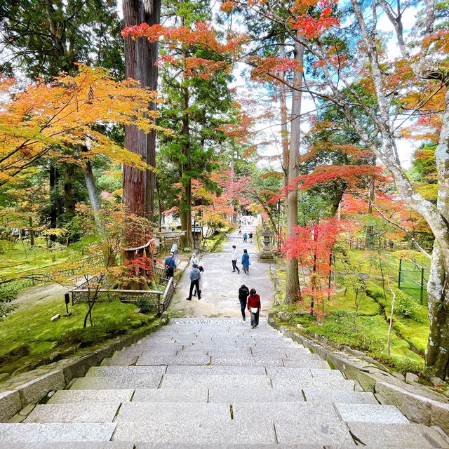【紅葉巡り】湖東三山 西明寺