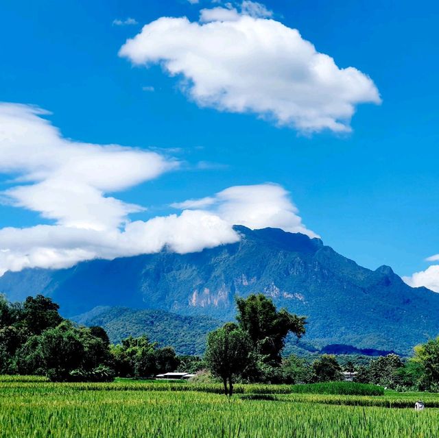 ดอยหลวงเชียงดาว​ ⛰️