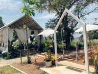 คาเฟ่ในสวน Pin Farm&Cafe @ขอนแก่น