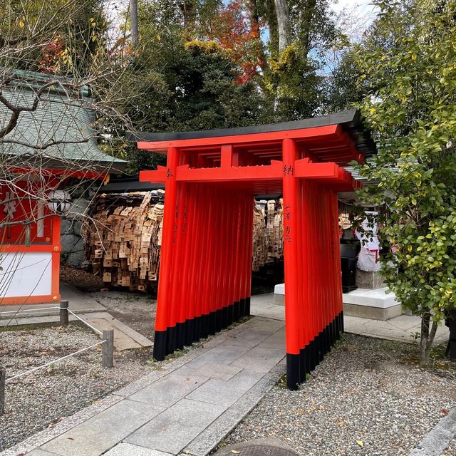 【京都】北野天満宮｜学問の神様🎓✨