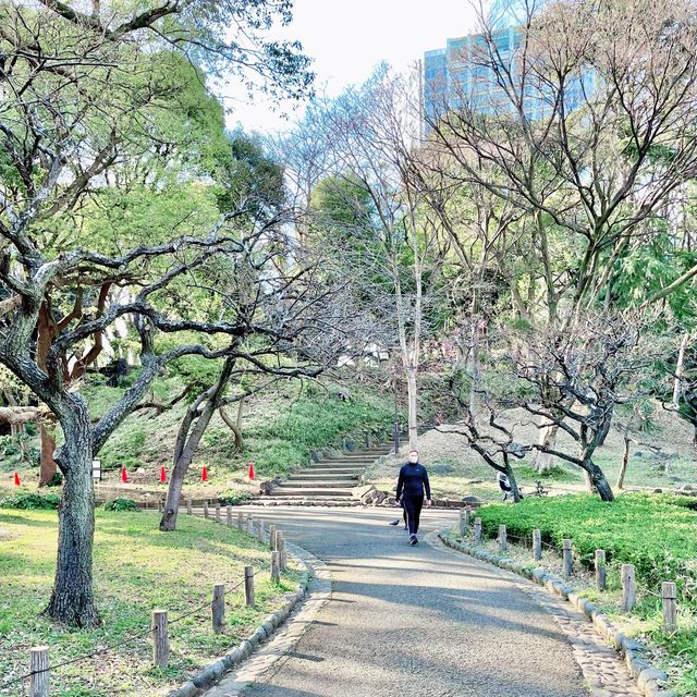 銀世界の梅林