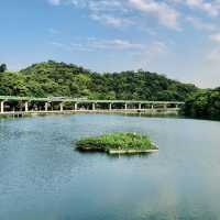 😍最可愛的都在大湖公園🤩完美無瑕的夕陽餘暉🌅