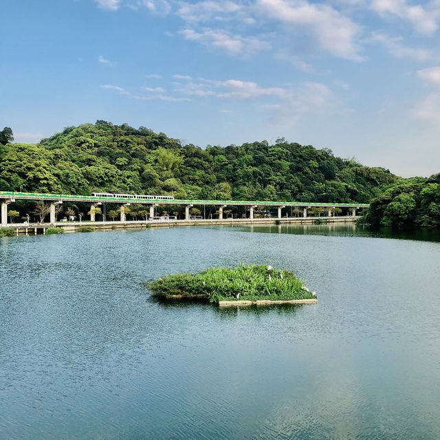 😍最可愛的都在大湖公園🤩完美無瑕的夕陽餘暉🌅