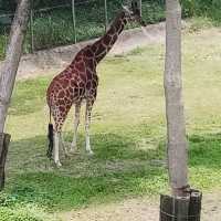 台灣六褔村樂園
