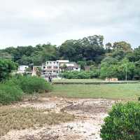 小島假期：吉澳鴨洲地質公園遊