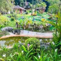 Khaosok Rainforest Resort 