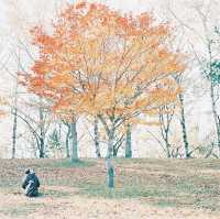 帯広＊緑ヶ丘公園