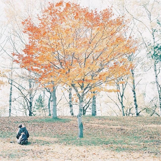 帯広＊緑ヶ丘公園