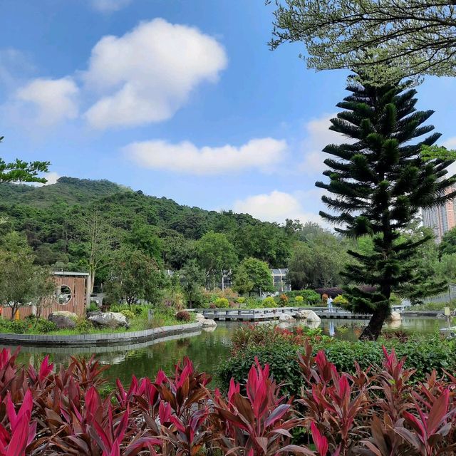 將軍澳坑口文曲里公園