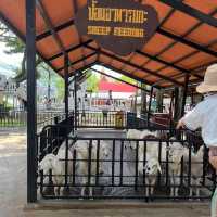 Chokchai Steakhouse : สเต็กเฮ้าส์สุดคลาสสิค