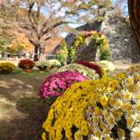 【長野・小諸】小諸城址懐古園