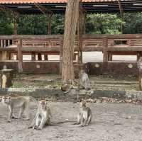 Bukit Shahbandar Forest Recreation Park 