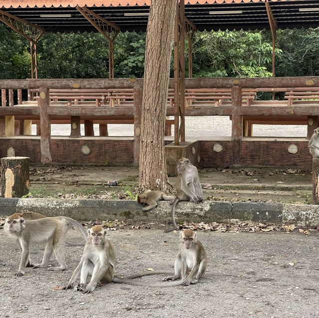 Bukit Shahbandar Forest Recreation Park 