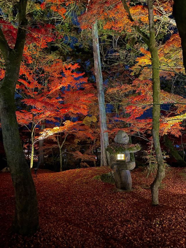 紅葉の永観堂🍁