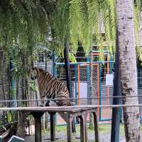 布吉島🐯樂園