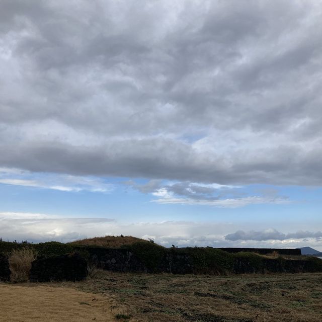 涉地可支