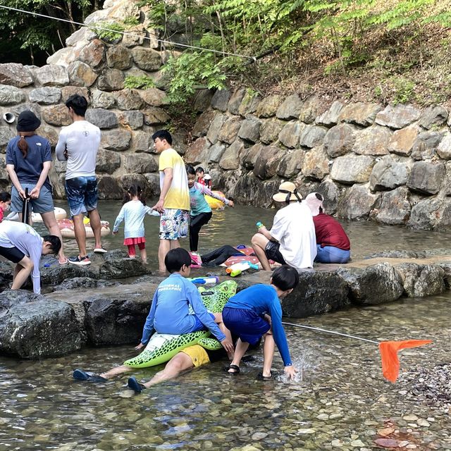 경북 계곡 캠핑장 추천 "청도 수리덤 오토 캠핑장"