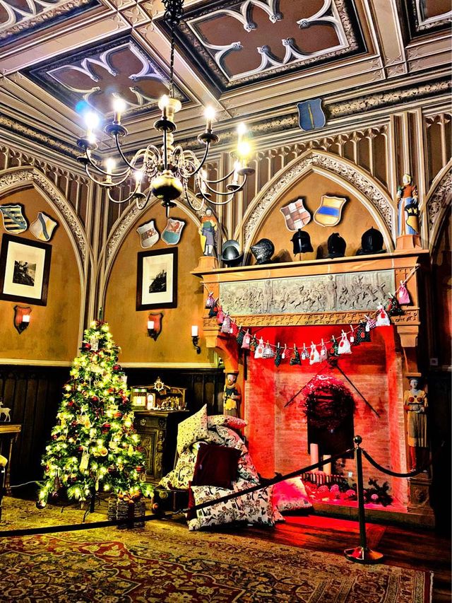 Castle Rheinstein Interior